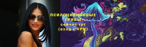 МДПВ Магадан