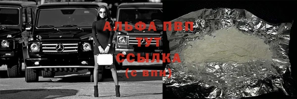 эйфоретик Магас